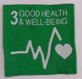 SDG3 Good Health